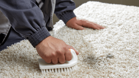 Professional Rug Cleaning Smiths Gully